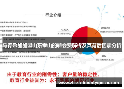马德鲁加加盟山东泰山的转会费解析及其背后因素分析